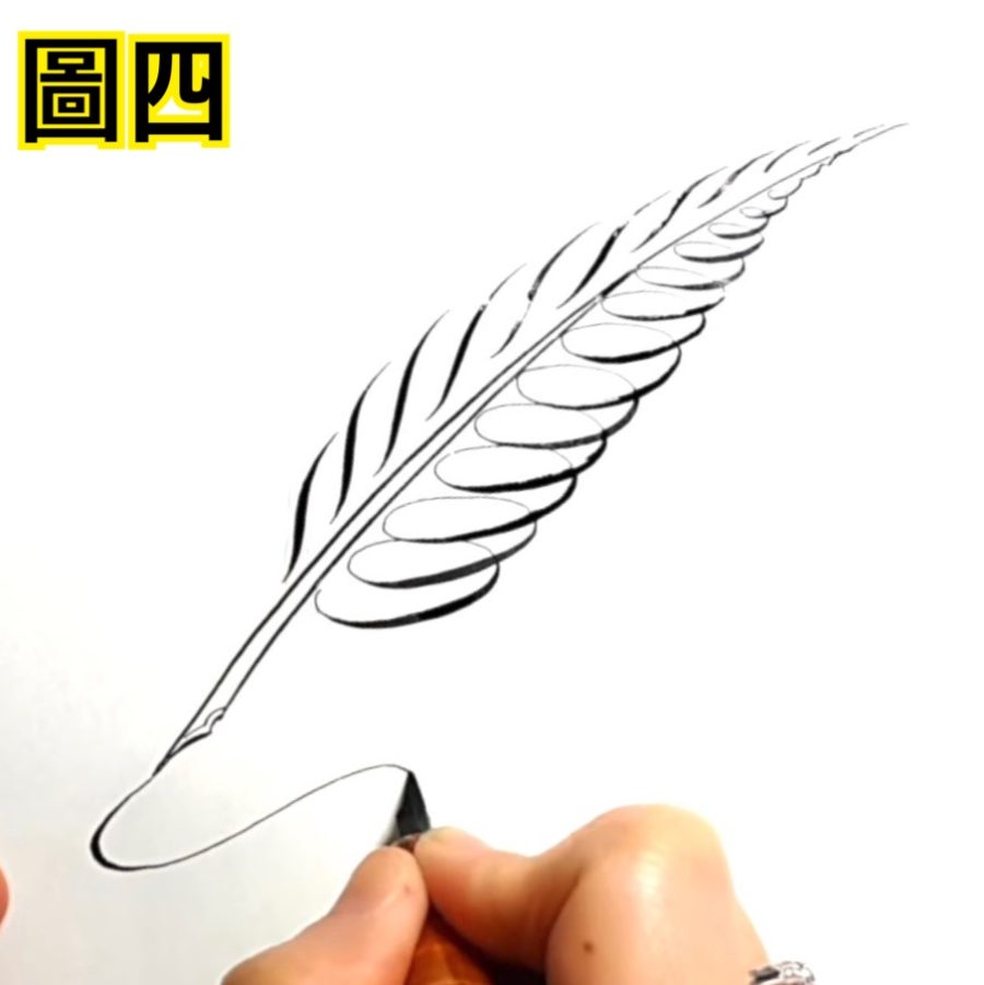 復古鴕鳥羽毛沾水筆羽毛筆英文書法中文通用沾水筆桿禮盒附墨水七支筆尖– 墨客, image size:900x901